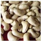  Macadamias