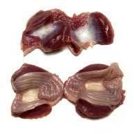 Frozen Chicken Gizzard