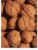 walnuts
