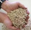 Wheat Bran Pellets Wheat Bran Pellets