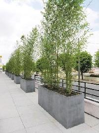 Bamboo Planter