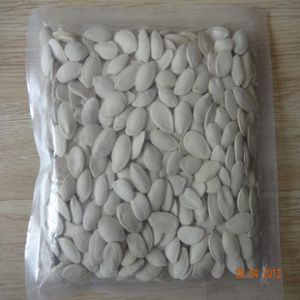 Snow White Pumpkin Seeds