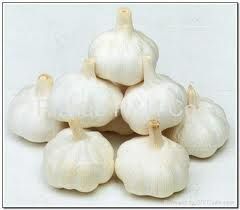 fresh garlic fresh garlic
