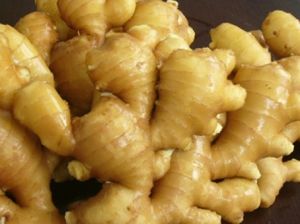 fresh ginger fresh ginger