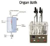Organ Bath