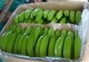 green banana