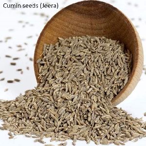 Cumin Jeera