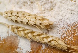 wheat flour wheat flour