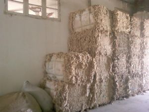 White Tannery Wool Semi Washed