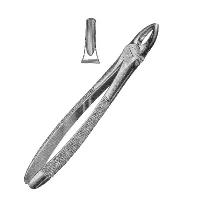 Extracting Forceps
