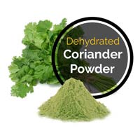 Dehydrated Coriander Powder