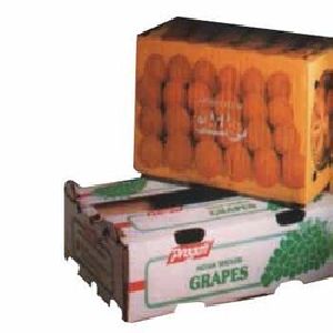 Fruits Packaging Boxes