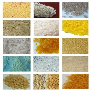 Industrial Shandong Light Artificial Rice Extruder