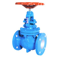 bellow seal globe valve