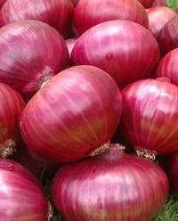 Onion Onion