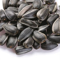 sunflower seeds, Brand Name : biriz