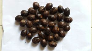 Nutmeg Spices