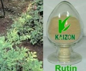 Rutin Extract
