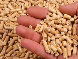 Portugal Wood Pellets