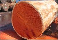 Padauk Wood Logs,Padauk Wood Lumber