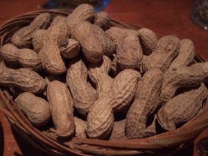 Groundnuts
