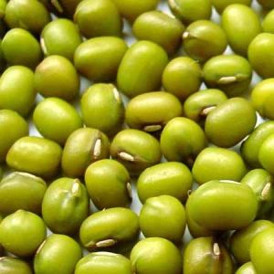 Green Mung Beans Offer