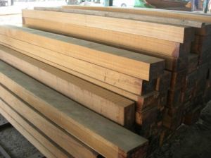 Sawn Timber