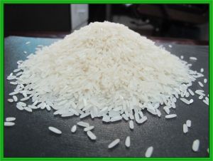 jasmine rice,  Shelf Life : 18months
