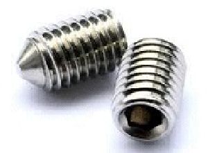 Gurb Screw Pointed