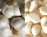 Garlic,  Number Of Flower : Vegetable