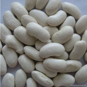 White Bean