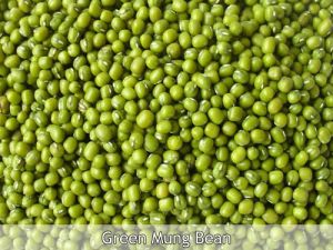 green mung beans