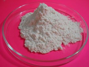 Soya Isolate