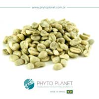 Arabica Green Coffee Bean