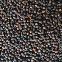 indian black pepper