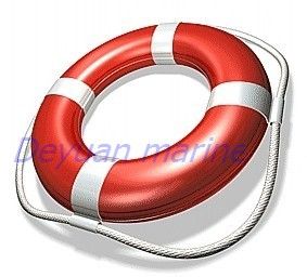 4.3kg Life Buoy