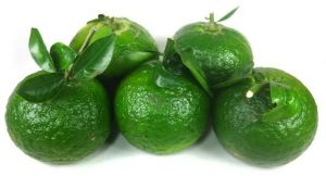 Fresh Orange Fruit