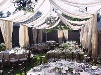 wedding canopies tent