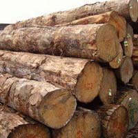 Pinewood Logs