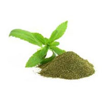 Green Stevia Powder