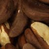 Raw Brazil Nuts