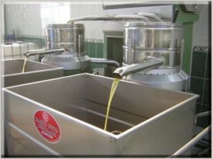 sunflower oil sunflower oil