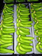 Bananas