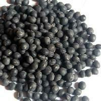 Black Soybean