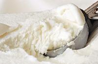 Whey Protein Concentrate Powder