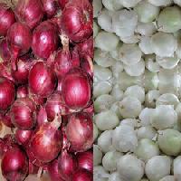 Red Onions, White Onions