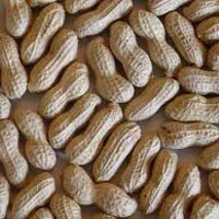 Shelled Groundnuts 