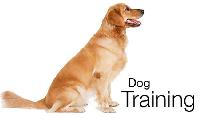 Obedience Training Books Cds, Dvd