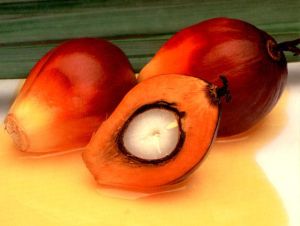 palm oil,  Shelf Life : 1Year