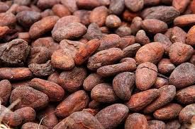 cocoa beans